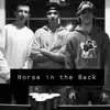 Horse in the Back (feat. Big B & Mitch Denney Bud) - Single album lyrics, reviews, download