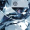 De Levensvisie - Eves Laurent lyrics