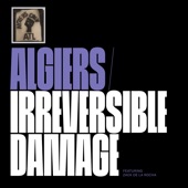 Irreversible Damage (feat. Zack de la Rocha) [Edit] artwork