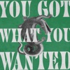 You Got What You Wanted - Single
