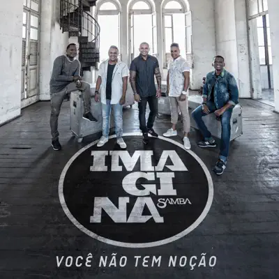 Você não tem noção - Single - Imaginasamba