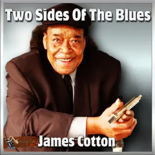 baixar álbum James Cotton - Two Sides Of The Blues