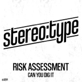 Risk Assessment - Can You Digit