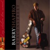 Barry Shapiro - The Long Way Home