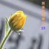 怡菁 - 相思爬上心底