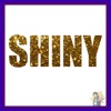 Shiny - Single