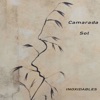 Camarada Sol - Single