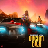 Dream Rich Lifestyle artwork