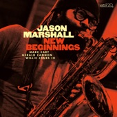 Jason Marshall - Fallen Feathers