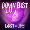 Down Bist 2.0 - Single album lyrics, reviews, download