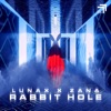 Rabbit Hole - Single, 2022