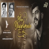 Meri Yaadomein Tu Hai (feat. Pranam Kamlakhar & Mohammed Irfan) artwork