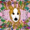 / / /D.O.G. IS G.O.D. / // - Single ジャケット写真