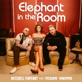 Elephant in the Room (feat. Teddy Swims) artwork