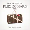 FLEX SO HARD RMX - Single album lyrics, reviews, download