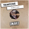 Trimtone - Work It Out (Radio Edit)