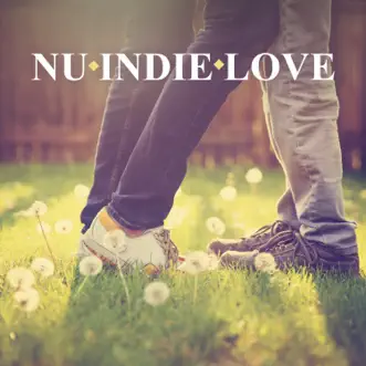 Nu Indie Love by Various Artists album reviews, ratings, credits