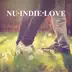 Nu Indie Love album cover