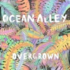 Overgrown - Single