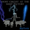 Short Circuit at the Sheep Factory, 2022