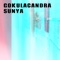 Sunya - Gokulacandra lyrics