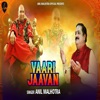 Anil Malhotra - Vaari Javaan