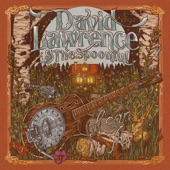 David Lawrence & the Spoonful - Headed North