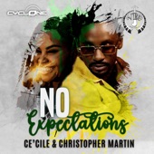 No Expectations artwork