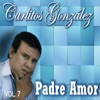 Padre Amor (Vol. 7), 2017