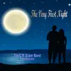 The Very First Night (Pop Version) - Single album lyrics, reviews, download