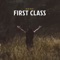 First Class (Remix) artwork