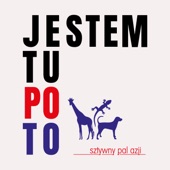 Jestem tu po to artwork