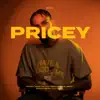 Pricey - Single album lyrics, reviews, download