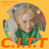C.I.T.T (Cheese in the Trap) artwork