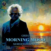 Morning Mood (Arr. for Orchestra & Piano from Peer Gynt Suite No. 1, Op. 46 I. Morgenstemning) artwork