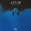 ATUM album lyrics, reviews, download