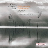 Violin Concerto in A Minor, BWV 1041: II. Andante in A Minor artwork