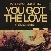 You Got The Love (feat. Jules Buckley & The Heritage Orchestra) [Tiësto Remix] artwork