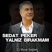 Sedat Peker - Yalnız Bırakmam artwork