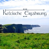 Keltische Erfahrung - Irische und Keltische Harfenmusik zur Entspannung und Gesunden Schlaf artwork