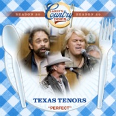 Perfect (Larry's Country Diner Season 20) artwork