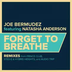 Forget To Breathe (Prince Club Remix Radio Edit) Song Lyrics