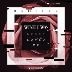 Never Loved Me (Remixes) by Wish I Was album reviews, ratings, credits