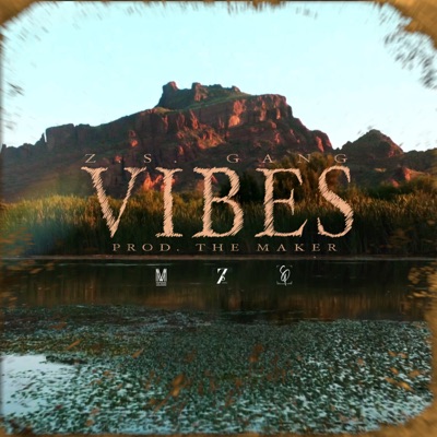 Vibes - Z.S. Gang