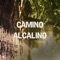 Camino Alcalino - Silvina Romero lyrics