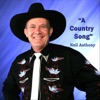 A Country Song - Single