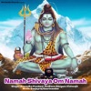 Namah Shivaya Om Namah - Single