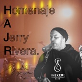 Homenaje a Jerry Rivera artwork