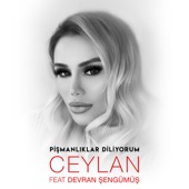 Pişmanlıklar Diliyorum (feat. Devran Şengümüş) artwork