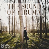 The Sound of Yiruma artwork